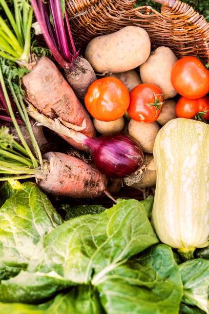 istock Basket full of vegetables in the backyard garden. 936460938