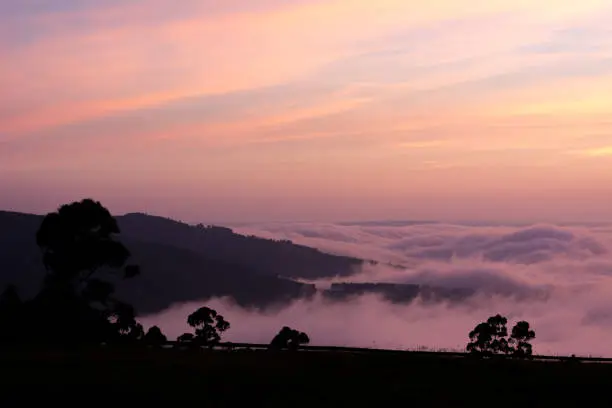 Photo of Cloud inversion at sunrise