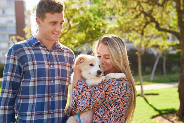 istock Happy young couple hugging their cute puppy 936469132