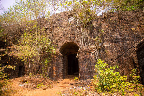 istock Jungle banyan tree roots covering old building wall 936476842