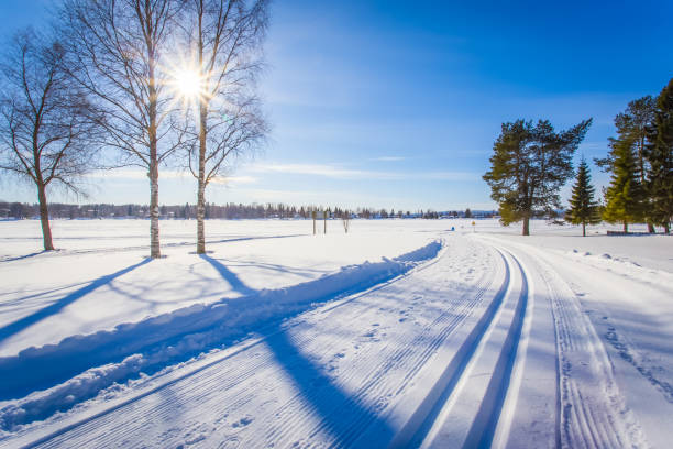 vista da trilha de esqui de sotkamo, finlândia. - ski track - fotografias e filmes do acervo