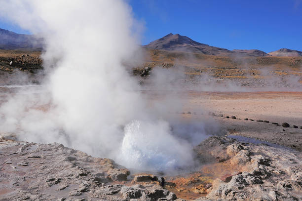 geyser del tatio. - geyser nature south america scenics foto e immagini stock