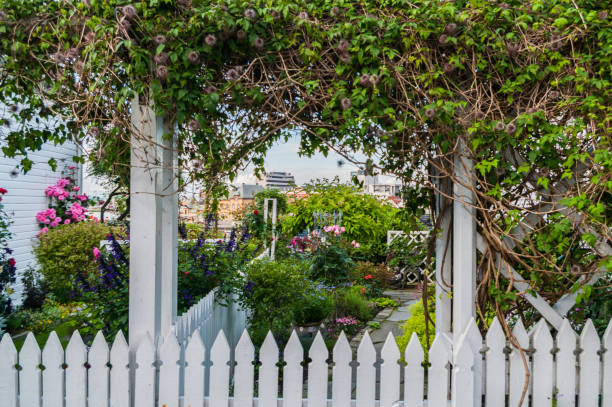 istock Summer garden with white fence 936500720
