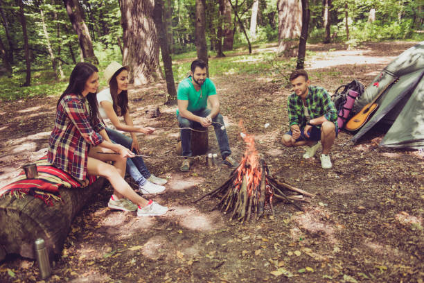 istock Fire place, four cheerful serene tourists are sitting around, roasting the marshmallows, nice sunny day, campsite 936501634