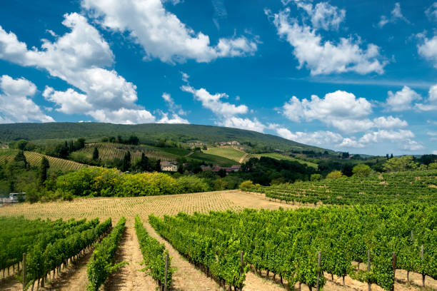 istock Landscape near San Gimignano (Tuscany) 936506368