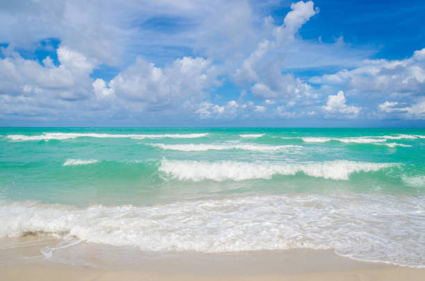 Miami tropical beach, blue sky and ocean, Florida, USA
