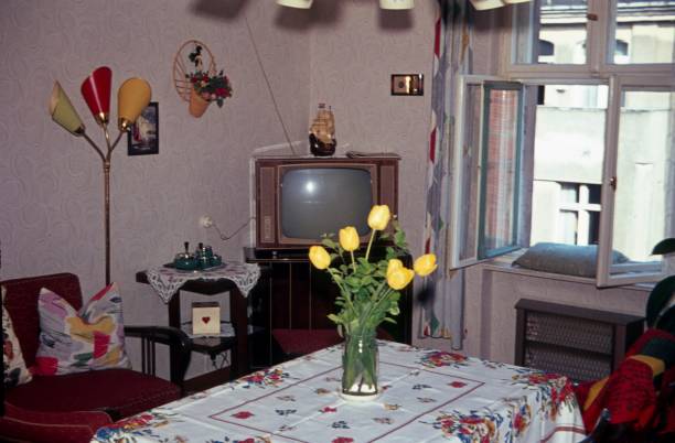 working class living room, berlin 1968 - wall flower sunny temperate flower imagens e fotografias de stock