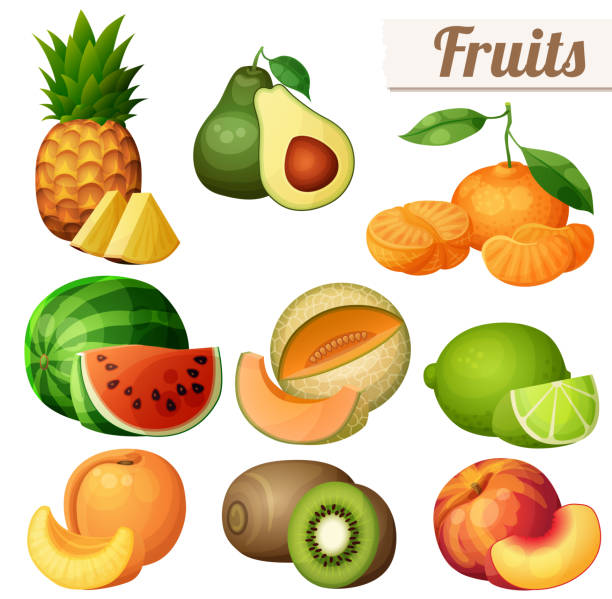 ilustraciones, imágenes clip art, dibujos animados e iconos de stock de conjunto de alimentos iconos aislados sobre fondo blanco. frutas - kiwi vegetable cross section fruit