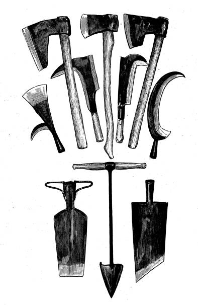 antyczne ilustracje francuskich szkół cywilnych i wojskowych: narzędzia szkoły leśniczej - agricultural occupation antique old fashioned axe stock illustrations