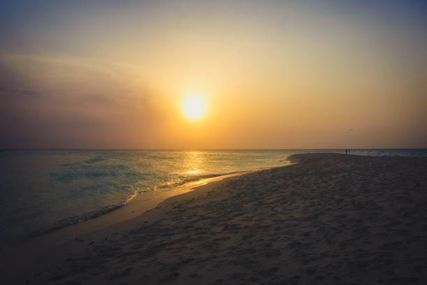 istock gentle Zanzibar beach sunset 936559898