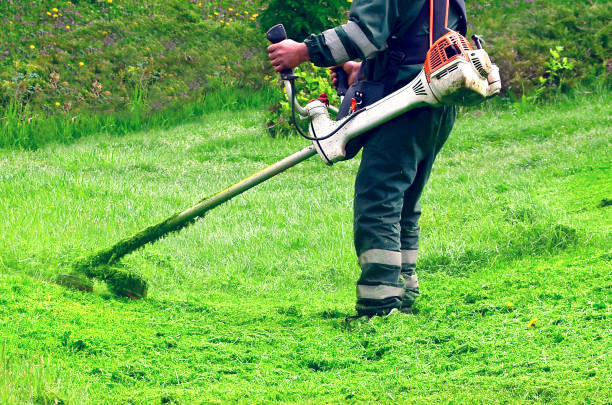 hombre la de césped, cortacésped de cerca. wacker de malezas - hedge clippers weed trimmer grass lawn fotografías e imágenes de stock