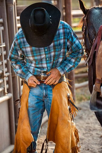 Professional Cowboy At a Rodeo Strapping On His Riding Chaps.  His face is unseen as he bends down to cinch the buckle.  Chaps are orange tan in color with long fringe at the edges of the material.  Horse in backgound in right of image.