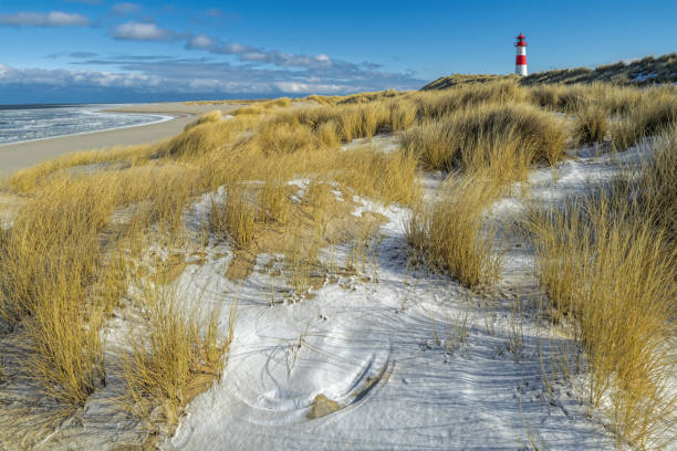 istock Red and white Lighthouse on sand dune in snow, Island Sylt, Germany 936580866