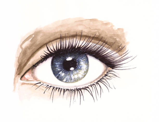 istock Watercolor realistic woman eye painting with eyelashes 936580938