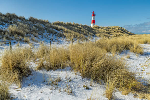 Red and white Lighthouse on sand dune with marram grass in snow.Location: Ellenbogel in the north of Island Sylt, Germany