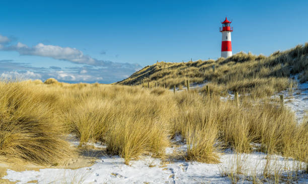 Red and white Lighthouse on sand dune with marram grass in snow.Location: Ellenbogel in the north of Island Sylt, Germany