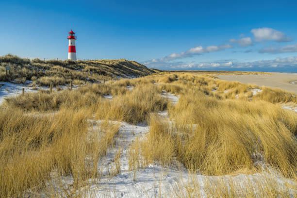 Red and white Lighthouse on sand dune with marram grass in snow.Location: Ellenbogel in the north of Island Sylt, Germany