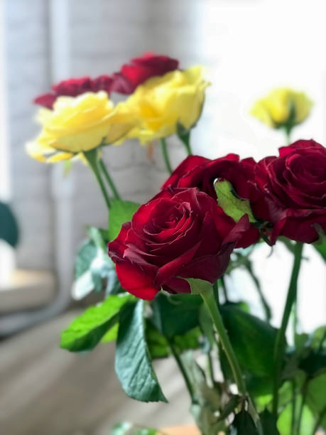 istock beautiful red and yellow roses 936590498