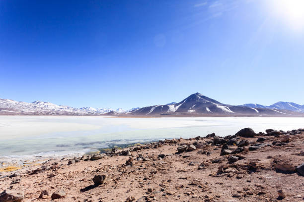 istock Laguna Blanca landscape,Bolivia 936591164