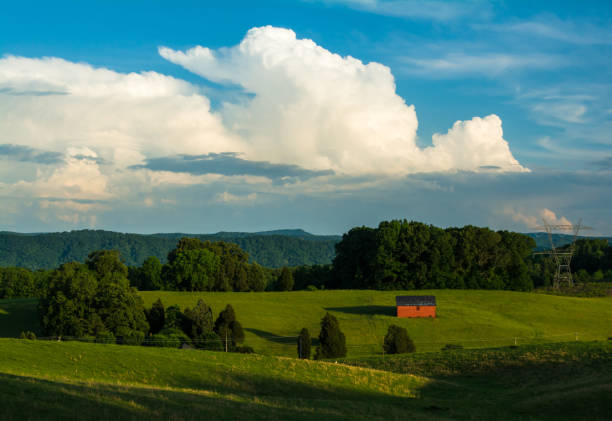 East Tennessee Beauty