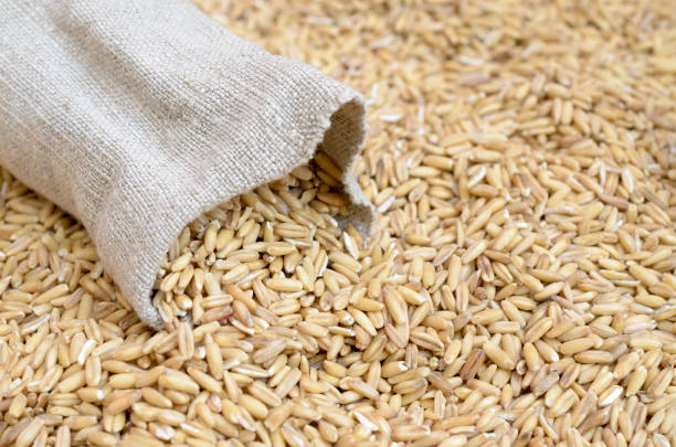 istock Grains of cereal crops oats scattered on a bag. 936603314