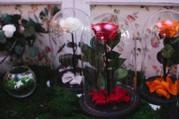 istock Roses under a glass cap on flower market 936610510