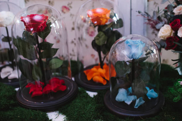 istock Roses under a glass cap on flower market 936610512