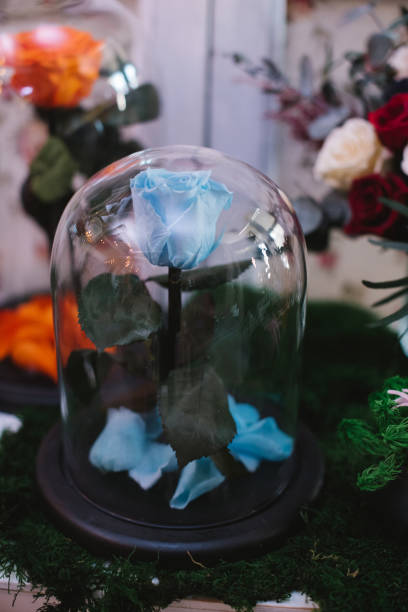 istock Roses under a glass cap on flower market 936610590