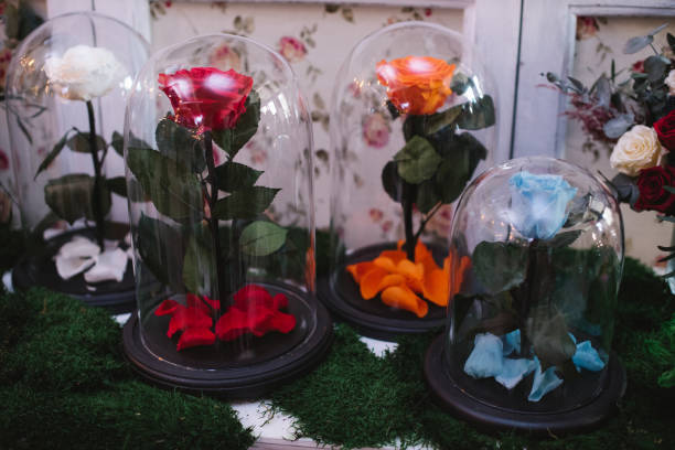 istock Roses under a glass cap on flower market 936610876