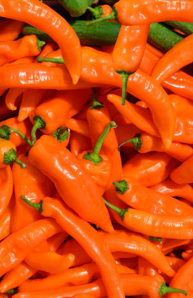 istock Pepper chili and pickle market view 936611946