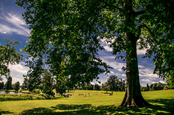 istock Lovely sunny day in public park in Wiltshire. 936615356