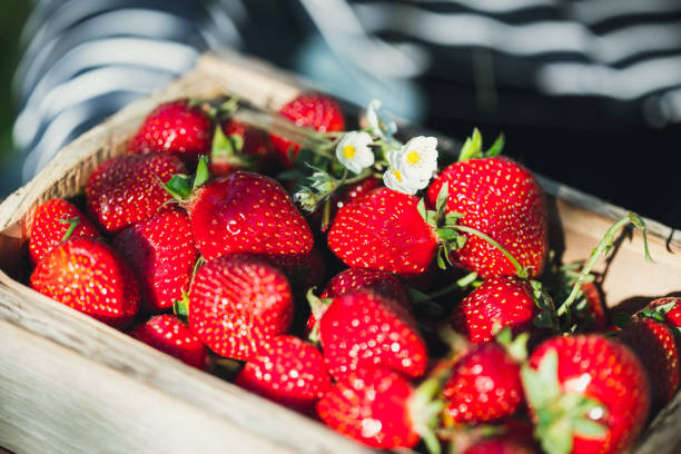 istock Fresh organic strawberries in wooden crate 936618524