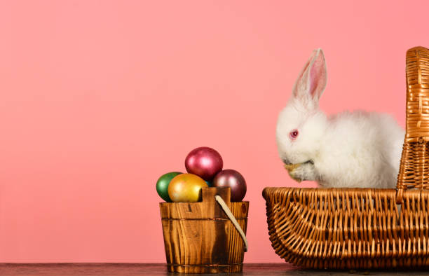 istock Easter Eggs - Cooking and Recipes. Easter eggs family cute bunny with funny bunny ears. 936621880