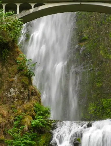 Multnomah Falls in Oregon's Columbia River Gorge