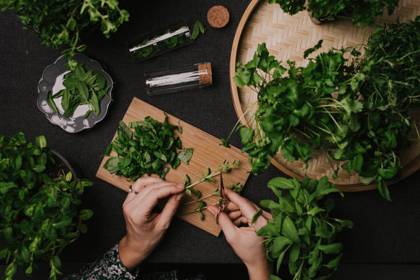 istock Woman cutting various fresh leaf herbs like sage basil oregano thyme 936634398