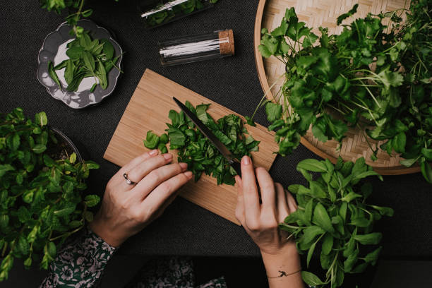 istock Woman cutting various fresh leaf herbs like sage basil oregano thyme 936634824
