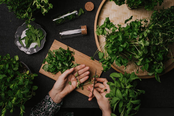 istock Woman cutting various fresh leaf herbs like sage basil oregano thyme 936635356