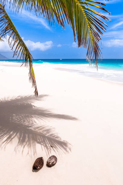 istock Seychelles, Paradise beach. La Digue at Anse Lazio, Source d'Argent. 936635458