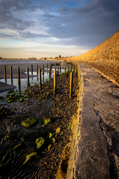 wooden groyne poles at vazon bay, guernsey, channel islands - martello towers imagens e fotografias de stock