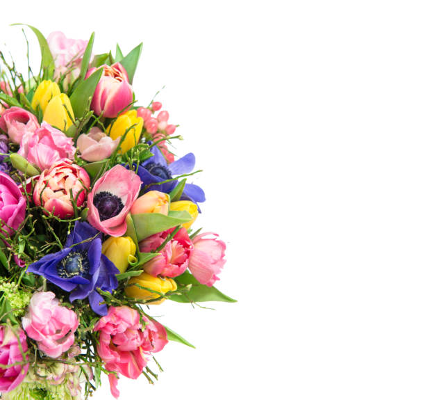 Beautiful bouquet spring flowers isolated white background