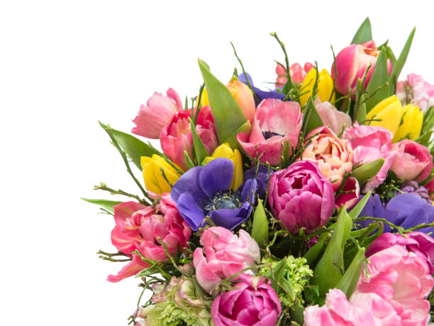 istock Bouquet spring tulip flowers isolated white background 936639180