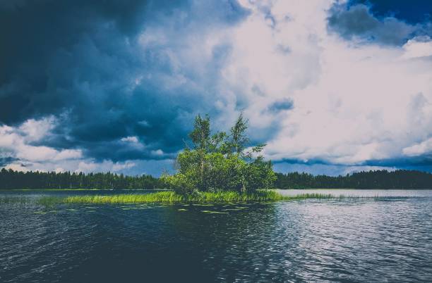 tree island on a stormy lake