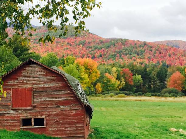 istock Fall Colors in Adirondack National Park, NY 936642424