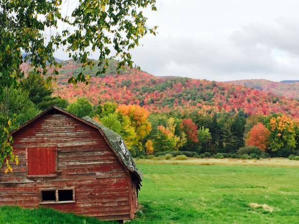 istock Fall Colors in Adirondack National Park, NY 936642440