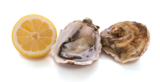 istock An open oyster and a closed oyster isolated with lemon 936643486