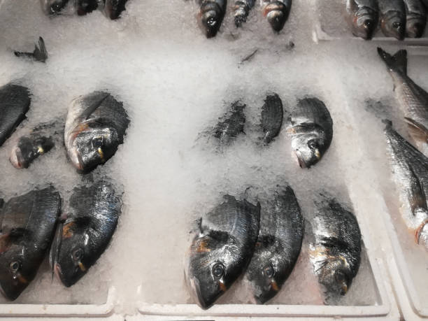 istock Freshly frozen dorado fish on store shelves 936645588