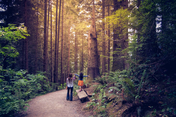 mère et fille marcher ensemble dans la forêt de l’oregon - mother child beautiful nature photos et images de collection