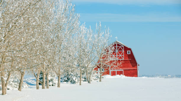istock Red barn and snow covered field    blue sky 936650154