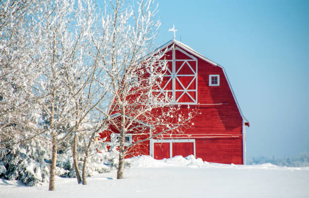 istock Red barn and snow covered field    blue sky 936650246
