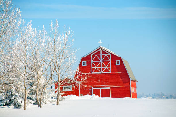 istock Red barn and snow covered field    blue sky 936650280